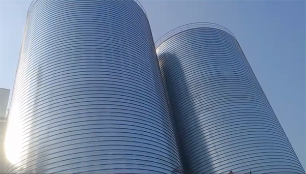 亭湖2座混凝土高架卷板仓